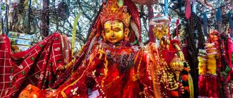 पाथीभरामा फागुन महिनामा ३१ लाखभन्दा बढी भेटी सङ्कलन