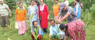 जिवन विज्ञानयोग प्रयोगशालाको १००औ  दिन पुगेको अवसरमा वृक्षरोपण कार्यक्रम सम्पन्न 