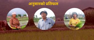 किसानलाई आकाशे पानीकै भर, कृषिमा छैन लगानी अनुसारको प्रतिफल