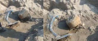 त्रिशूलीमा भेटियो बसको अवशेष, सिमलतालमा हराएको बस हुनसक्ने आशङ्का