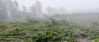 हावाहुरीबाट प्रभावित नागरिकलाई क्षतिपूर्ति दिन सांसदहरूद्वारा सरकारको ध्यानाकर्षण