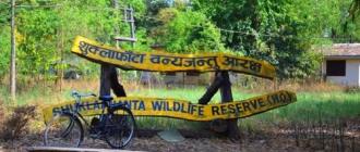 शुक्लाफाँटा निकुञ्ज विस्थापितको समस्या समाधान गर्न अध्ययन समिति गठन शुक्लाफाँटा निकुञ्ज विस्थापितको समस्या समाधान गर्न अध्ययन समिति गठन