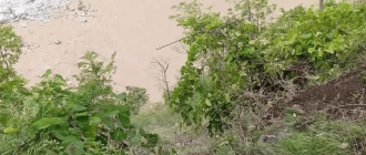 कर्णाली नदीमा खस्यो यात्रुवाहक फोर्स गाडी, १४ यात्रुको अवस्था अज्ञात कर्णाली नदीमा खस्यो यात्रुवाहक फोर्स गाडी, १४ यात्रुको अवस्था अज्ञात